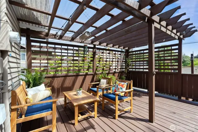 Back Deck (Southern Exposure)