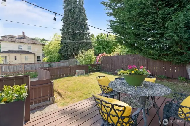 Back Deck