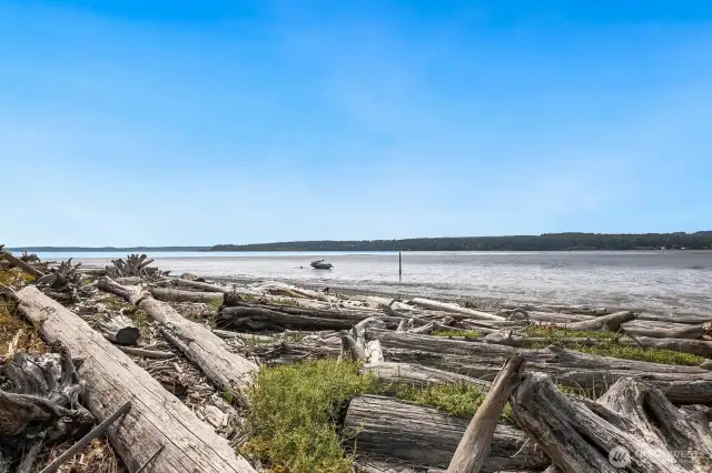 sandy beach
