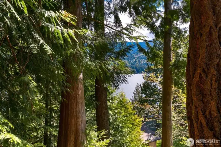 Water view from the lot.