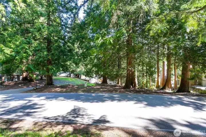 View from the road. Easy access and water, sewer and electric are all in the street.