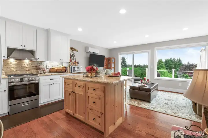 Guest house kitchen and living with a fabulous view!