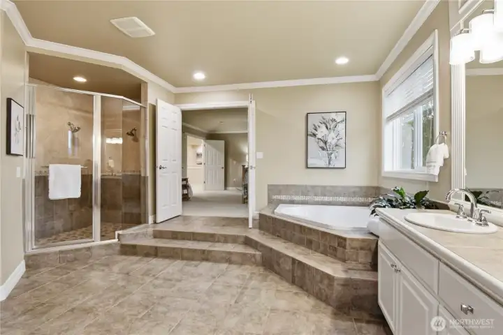 Primary Bath Area with Sunken Floor