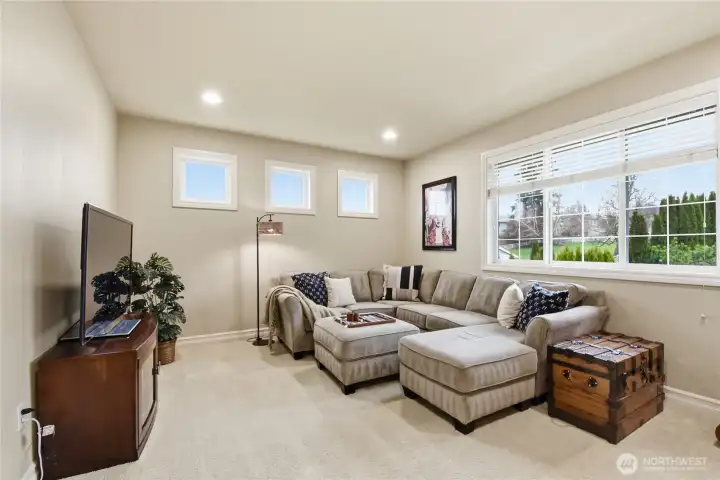 Bonus / Theater Room