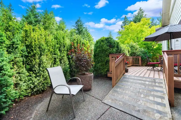 Lower Patio