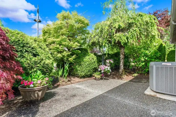 Side Patio
