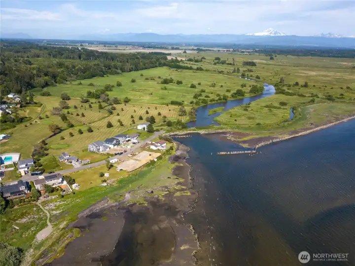 So close to the water