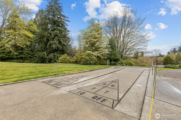 shuffleboard