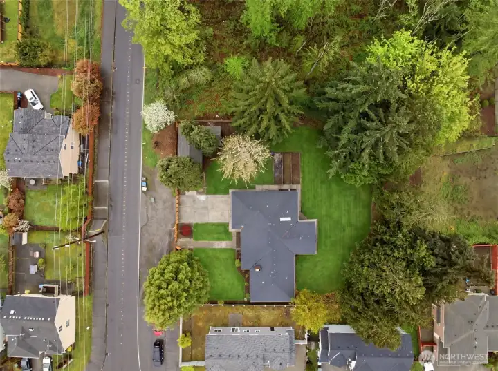 Larger lot than most houses around with natural buffer area around.