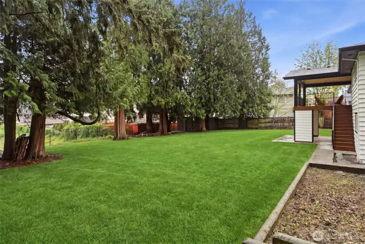 2 additional sheds in the corner of the lot. Tons of storage.