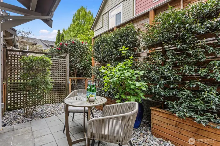 Spacious back patio with professional landscaping.  The star jasmine will soon be in bloom.