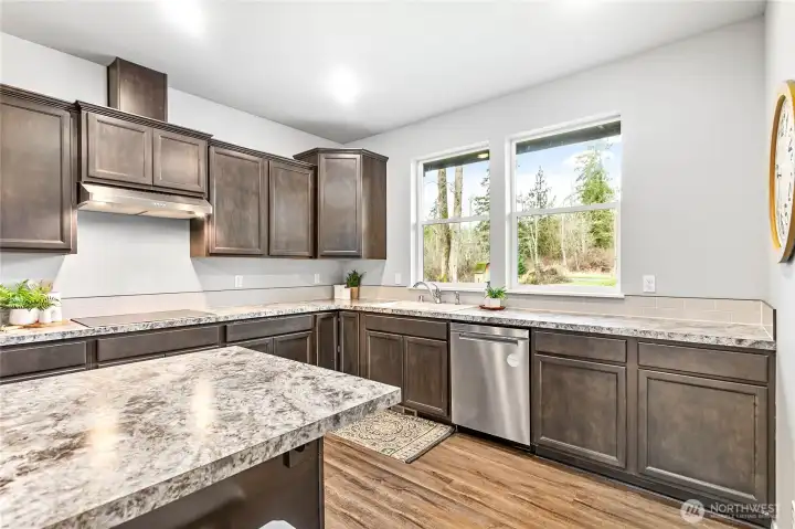 Beautiful front yard views from the kitchen sink!