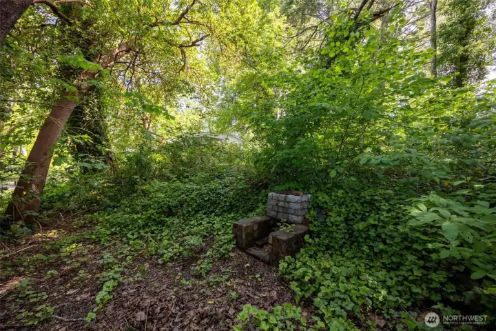 This section of the property really captures the magic of raw waterfront land in the Pacific Northwest. Dense native greenery, mature trees and natural undergrowth create a gorgeous forested backdrop where you can begin envisioning exactly how much privacy, sunlight and lake exposure you want to carve out for a future home. And nestled within it all sits this charming old brick fireplace area that practically begs for temporary campsite chairs, late-night marshmallow disasters and sketching dream-house ideas over a cooler while listening to the lake nearby. It adds so much personality to the property already. Another major plus is the lack of easements across the parcel, giving future owners full use of the entire .5432-acre footprint without needing to accommodate outside access routes or shared-use complications. Rare flexibility, gorgeous natural setting and a blank canvas with real potential.