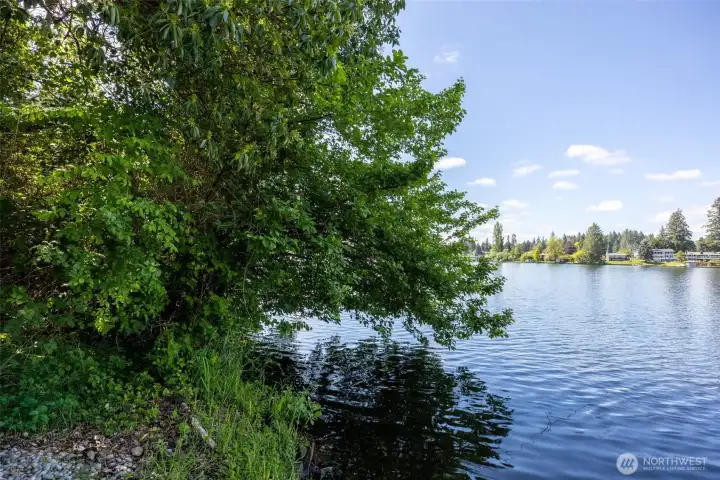 Here you finally start getting a fuller sense of the incredible 110 feet of waterfront stretching along this rare Long Lake parcel. With strong southwestern exposure leaning even more toward western skies, this property is absolutely set up for those glowing golden-hour evenings where the entire lake starts reflecting orange, pink and gold, and unlike some waterfront lots where the shoreline is all marsh and regret, this stretch of Long Lake is beautifully swimmable and ready for actual use. Long Lake itself spans roughly 300+ acres and supports everything from kayaking and paddleboarding to waterskiing, tubing and jet skiing. Fishing enthusiasts will especially appreciate the variety here too, with largemouth bass, rainbow trout, yellow perch, rock bass and more found throughout the lake.  Raw waterfront land with this much usable shoreline, western sun exposure and recreation potential is getting harder and harder to find around Thurston County.
