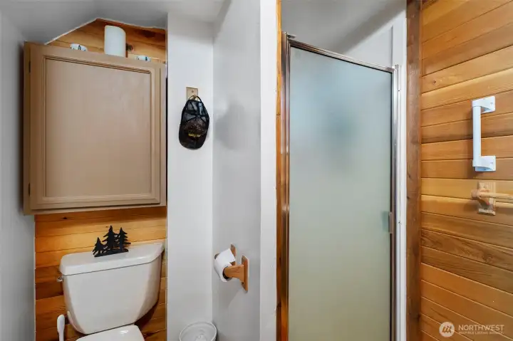 Walk-in shower.