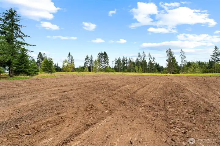 Approximately 3 acres professionally cleared to create open, level acreage.