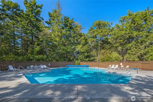 Community pool