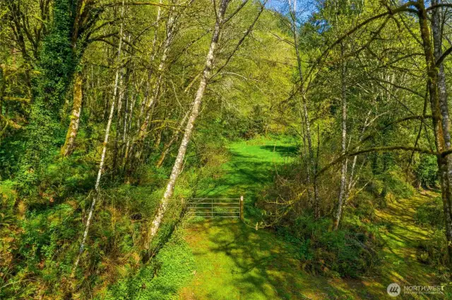 Beautiful one acre property in a small neighborhood. Great location!