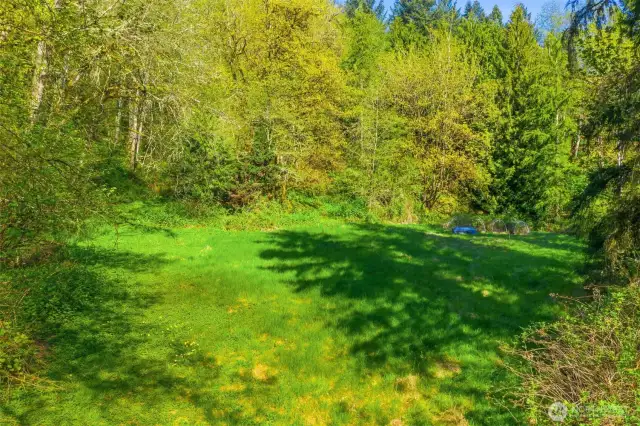 Partially cleared property is connected to water.