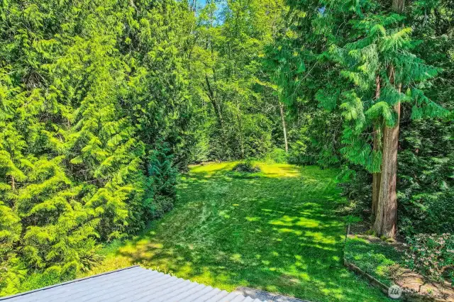 Private back yard.