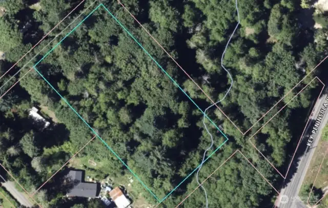 This is a double lot in Home. It's flat and level and carpeted with ivy. There is a slight slope down to the stream in the east corner/