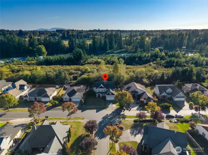 This aerial view emphasizes the privacy and quiet enjoyed here.  No backyard neighbors and a large buffer between the house and Loomis Trail Rd.