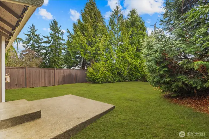 Patio in Backyard.