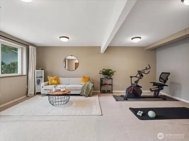 The lower level rec room has plenty of space for games and workout equipment.
