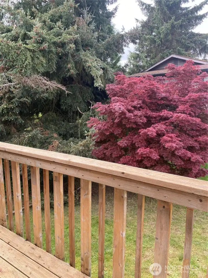 Another view from the deck. Another view from the deck.