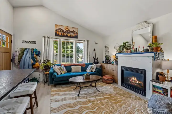Propane Fireplace