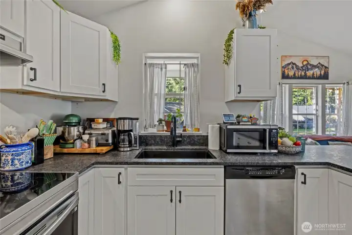 New Sink Fixtures and Garbage Disposal