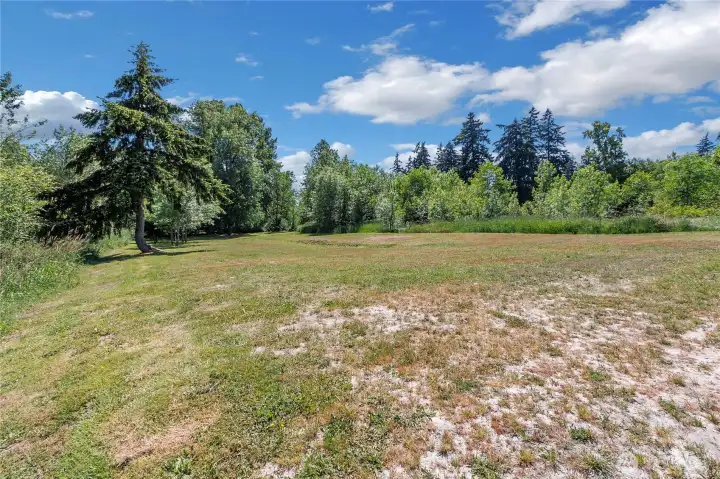 Back field