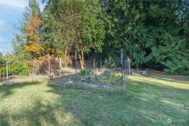 Mature Garden Space.