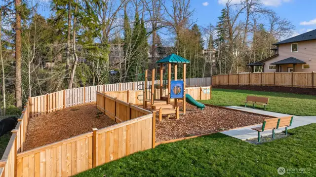 Community Amenities