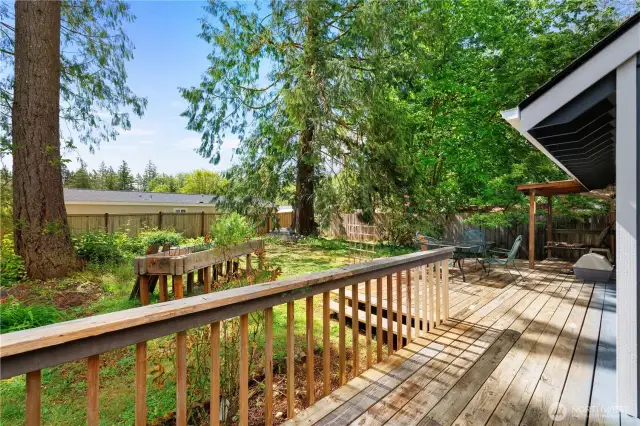 Decks galore for your viewing!