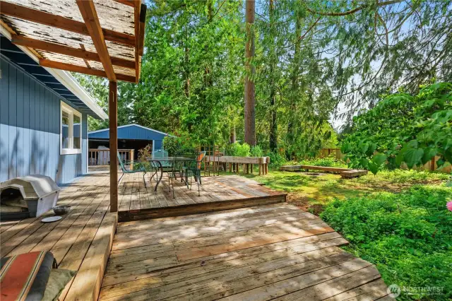 Flat lot and fully fenced