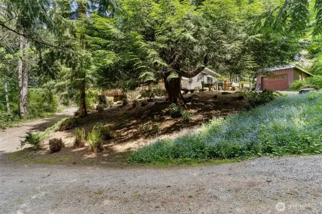 Lot is a fantastic park-like natural habitat.