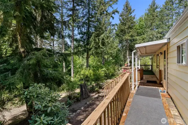Perched up on a hill, property offers tree house views.