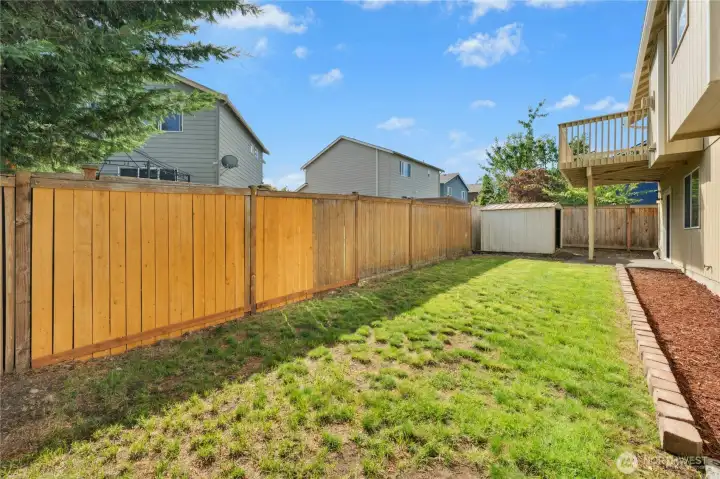 Fully fenced back yard