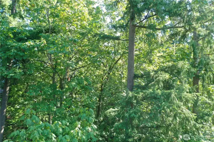 From inside property