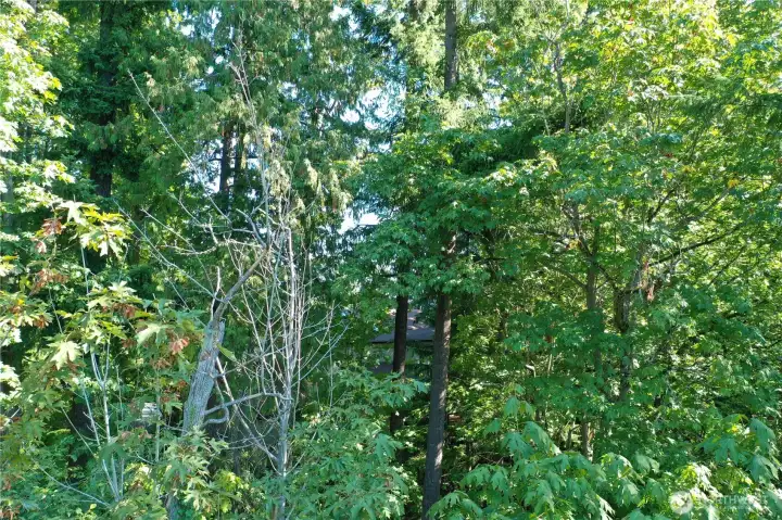From inside property