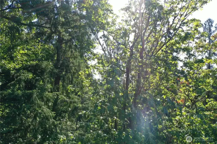 From inside property