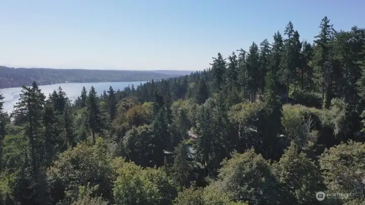Possible Peak of Lake from top of property