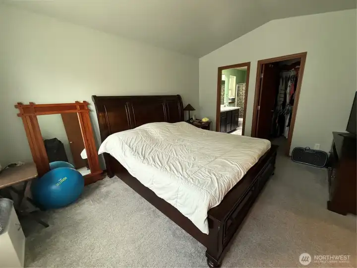 Primary bedroom with walk-in closet and private bathroom