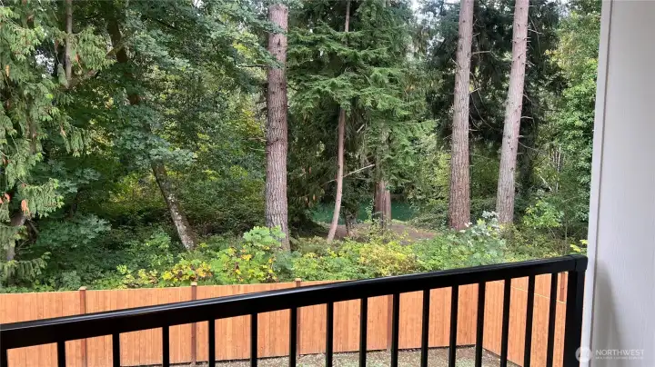 From the deck looking into towards the wetlands you can see the water. inlet to Lake Tapps.