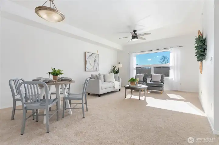 So much light. So much space.