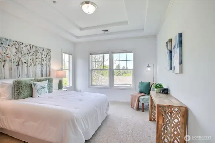 Second bedroom with tray ceiling and view windows.