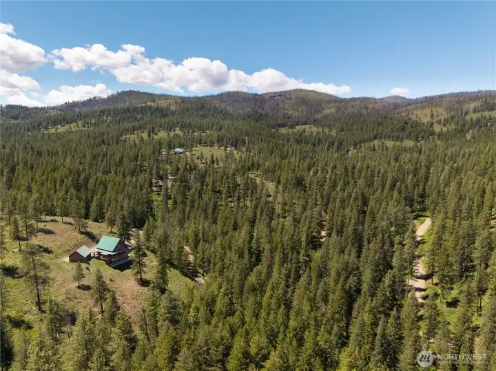The Pine Forest community is adjacent to National Forest with endless recreation opportunities. The Pine Forest community is adjacent to National Forest with endless recreation opportunities.