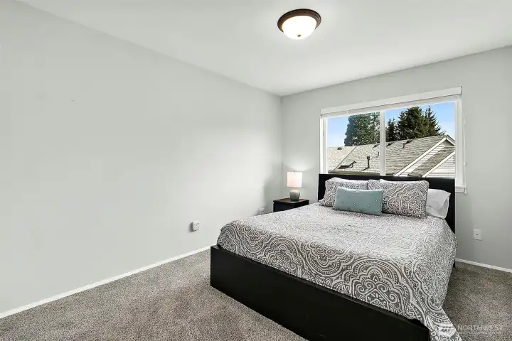 Additional room with two large windows, natural light, carpet flooring, neutral finishes, and flexible layout for bedroom or office use.