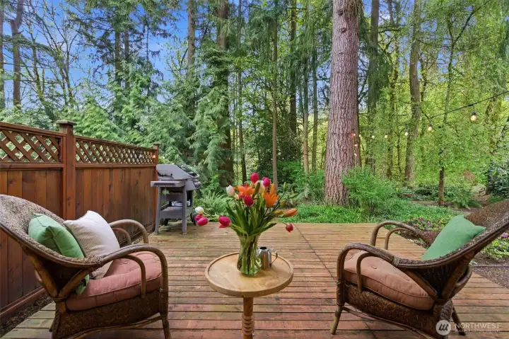 Deck just off the dining room